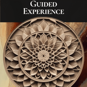 Identity Advantage Guided Experience